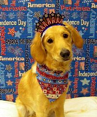 Sadie July 10.jpg
